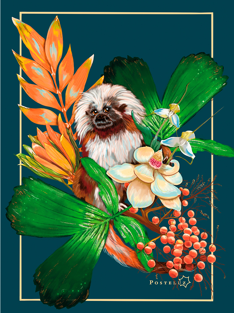 Libro Rojo illustration - Posteluz AR
